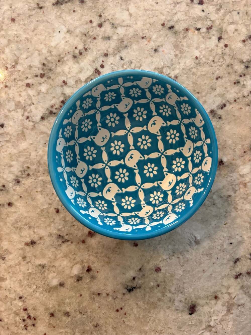 Gibson Home Bow Wow Meow Pet Bowl Size 4.5 In Bright Cat Turquoise